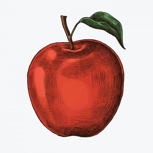Fresh ripe red apple illustration - 1208992