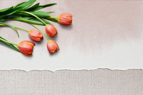 Design space mulberry paper with tulips - 1209972