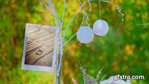 Videohive Wedding 26702246