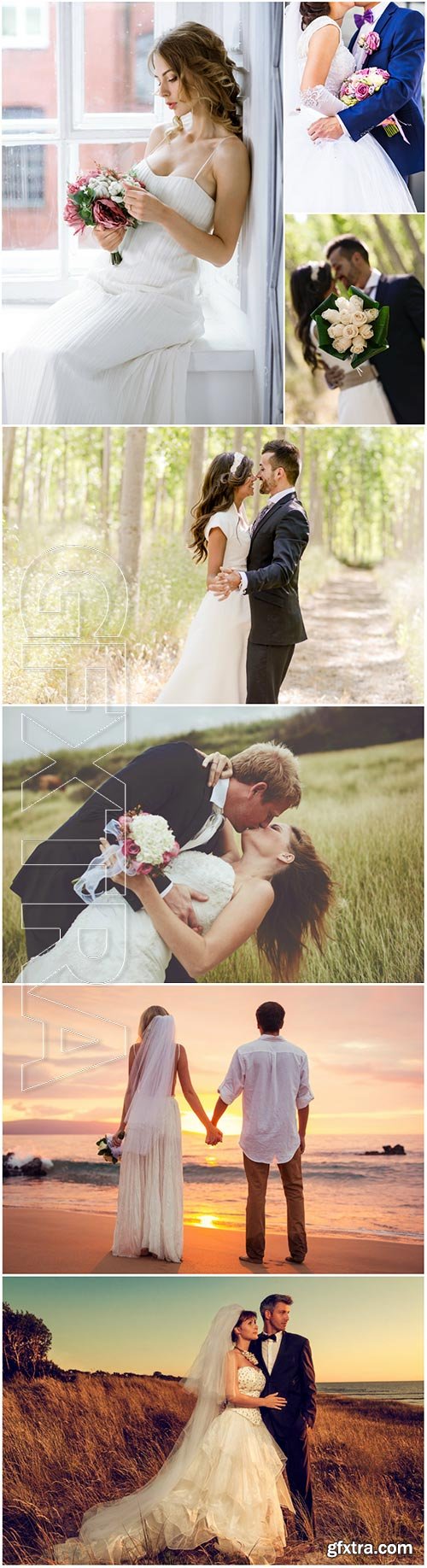 Wedding, couples in love, bride and groom stock photo