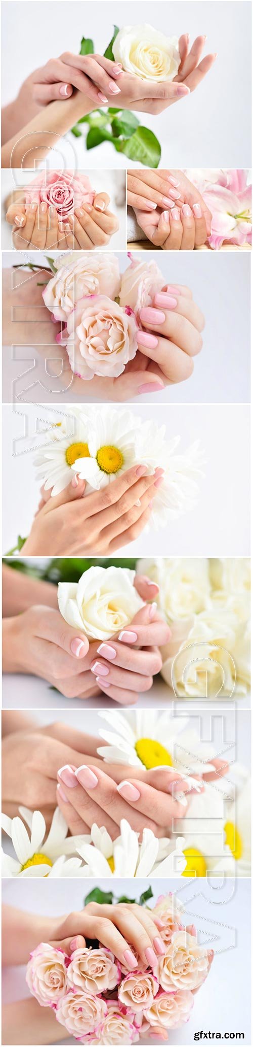 Beautiful manicure. female hands with flowers stock photo