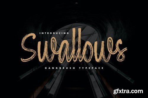 Swallows - Handbrush Typeface