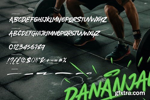 Dananjaya - Brush Script Typeface