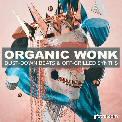 Soundsmiths Organic Wonk Bust Down Beats And Off Grilled Synths WAV-DISCOVER