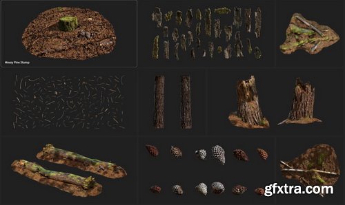 Quixel - PINE ESSENTIALS