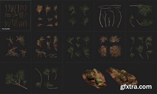 Quixel - PINE ESSENTIALS