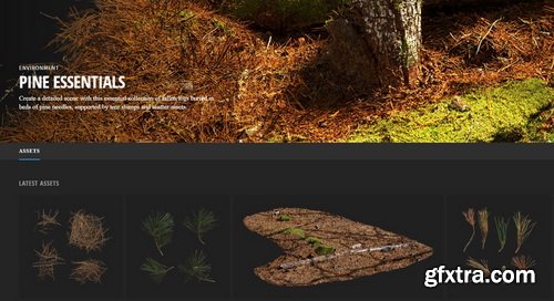 Quixel - PINE ESSENTIALS