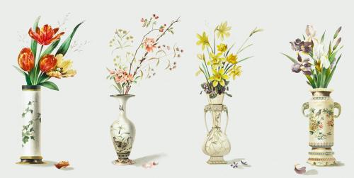 Antique illustration of four flower vases - 1198803