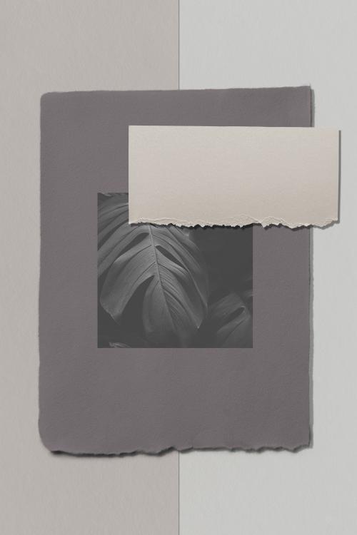 Torn gray paper templates set - 1201921