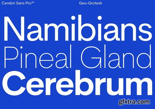 Cerebri Sans Pro Font Family