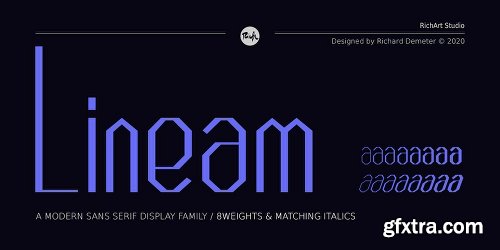 Lineam Font Family - 16 Fonts