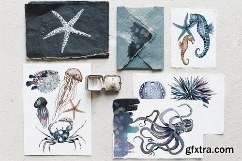 Watercolor ocean creatures set