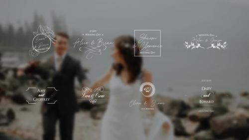 MotionArray - Wedding Titles Pack - 434173