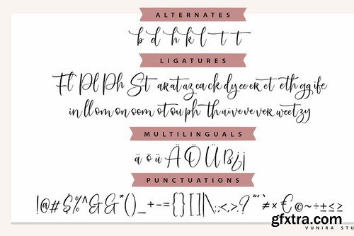 CM - SweetServe Modern Calligraphy Font 4783255