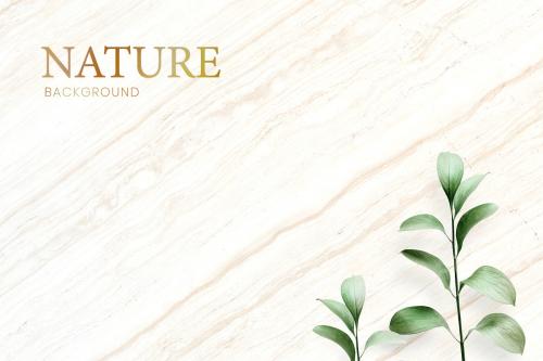 Tropical leaves on a marble background - 599821