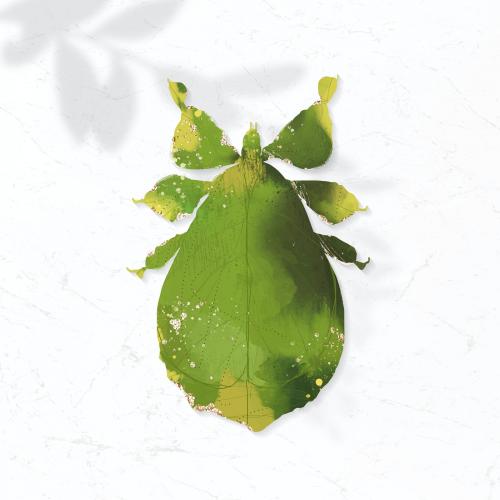 Cute watercolor leaf insect vector - 1226128