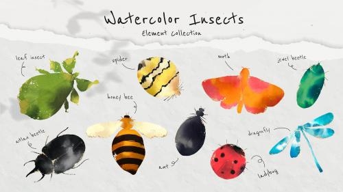 Cute watercolor insects collection vector - 1226141