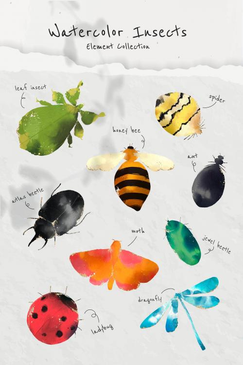 Cute watercolor insects collection vector - 1226180