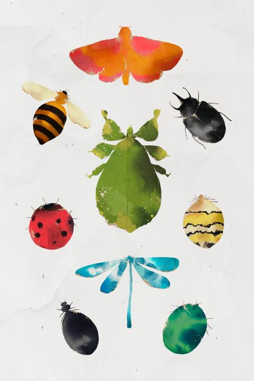 Insects watercolor collection vector - 1226185