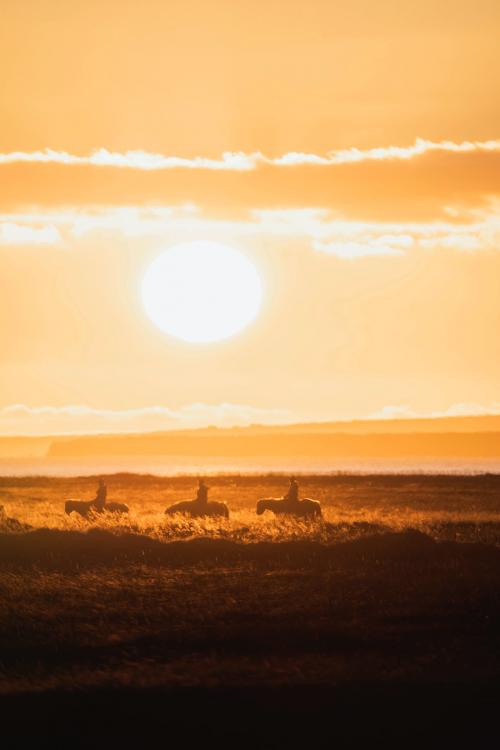 Trail riding in Iceland at sunset - 2041474