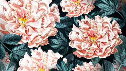 Floral blooming peony wallpaper vector - 1226608