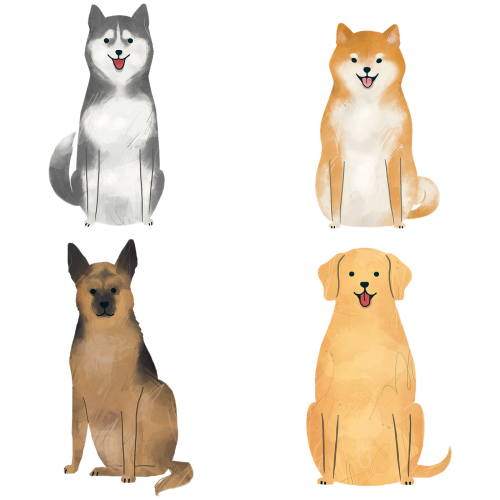 Trained dog collection transparent png - 2089798