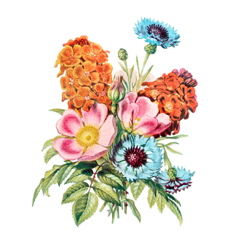 Vintage flower bouquet transparent png - 2098045