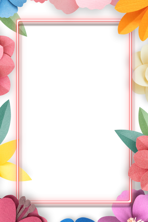 Colorful and tropical floral frame transparet png - 2105467