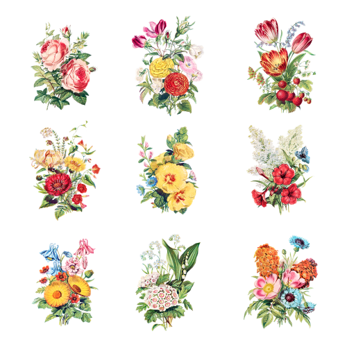 Vintage flowers bouquet collection transparent png - 2108862