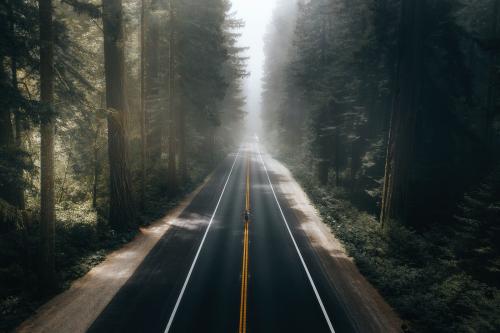 Scenery country road in the Californian forest background - 2208597