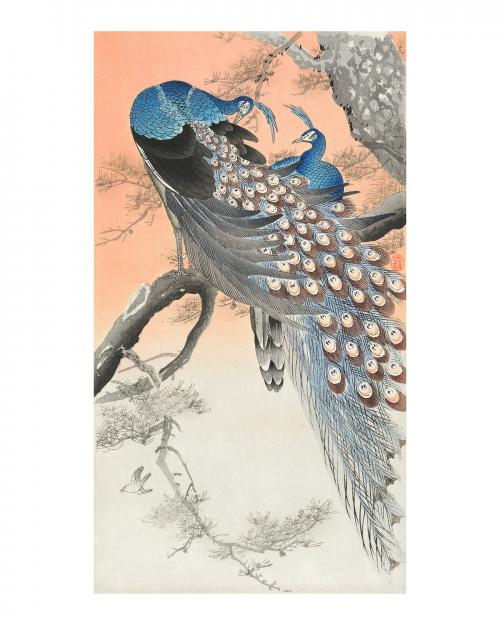 Two peacocks on a tree branch vintage illustration wall art print and poster design remix from original artwork. - 2265760