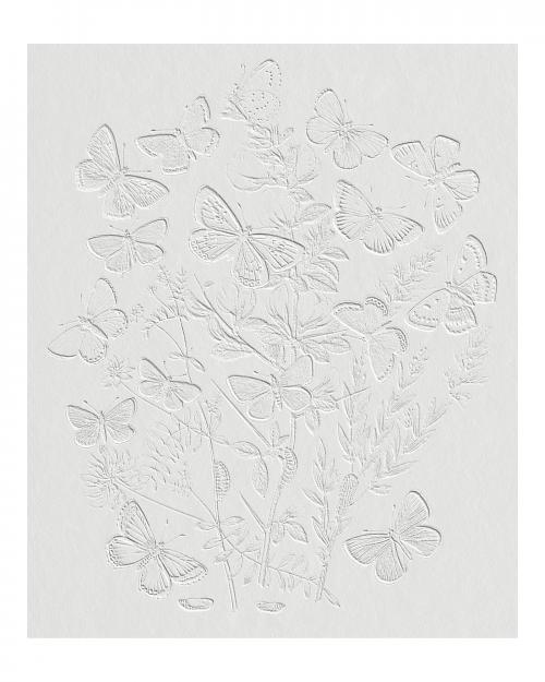 Butterflies and moths fluttering over flowers vintage illustration wall art print and poster design remix from original artwork. - 2270065