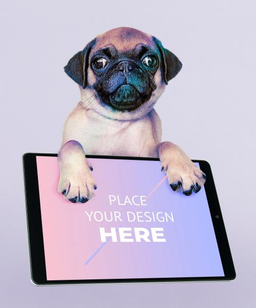 Adorable pug puppy with a digital tablet mockup - 580918