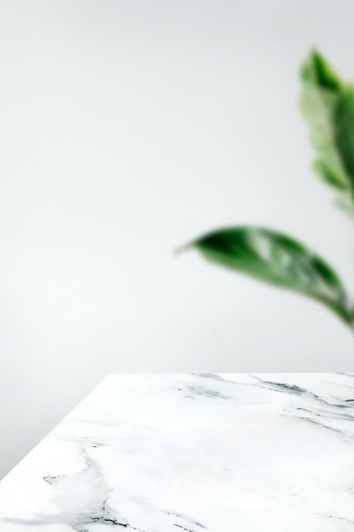 Plain gray wall with leaf and white marble table product background - 585899