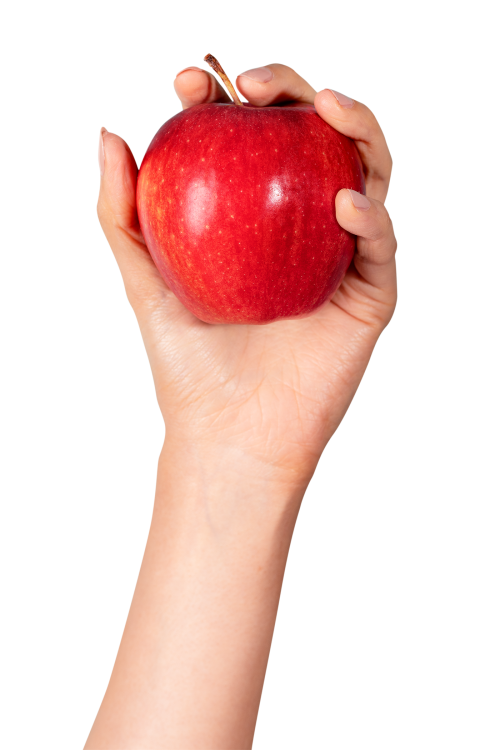 Hand showing a fresh red blush apple transparent png - 2052096