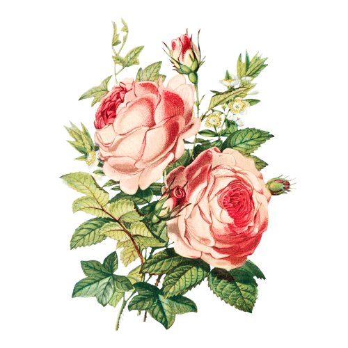 Vintage flower bouquet transparent png - 2098480