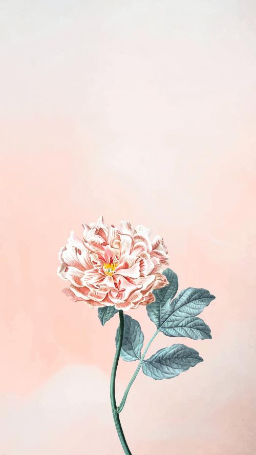 Floral peony mobile phone wallpaper vector - 1226585