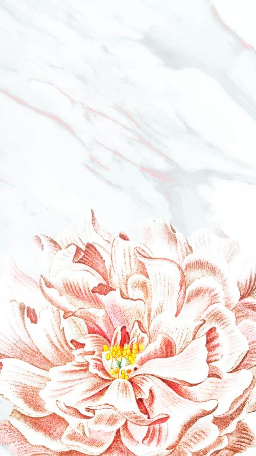 Floral peony mobile phone wallpaper vector - 1226613