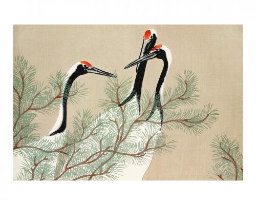 Red-crowned cranes vintage illustration wall art print and poster design remix from the original artwork by Kamisaka Sekka. - 2264096