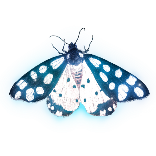 Butterfly outer glow vintage illustration transparent png - 2265398