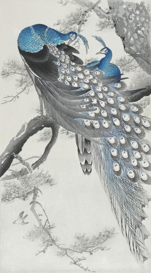 Two peacocks in a tree vintage design, remix from original painting by Ohara Koson - 2265625