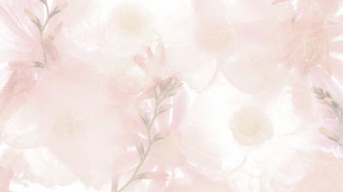 Pink blooming anemone flower background - 2273593