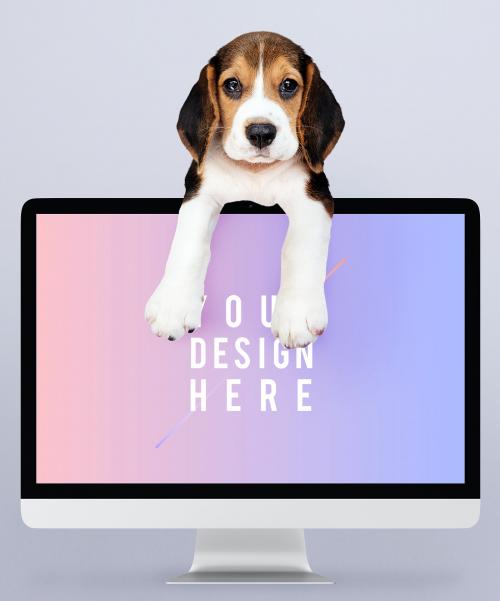 Adorable beagle puppy with a computer monitor mockup - 542270