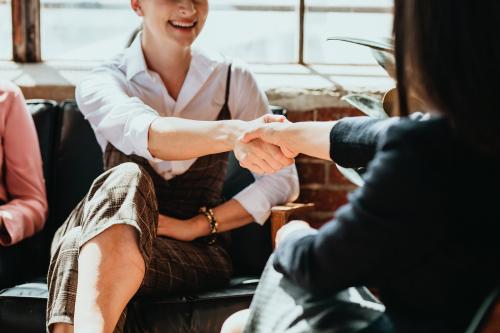 Businesswomen shaking hands as a greeting - 2020131