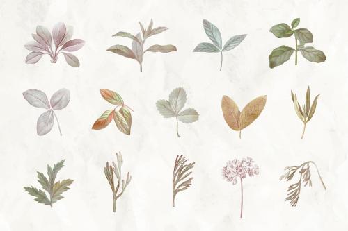 Foliage design elements vector set - 1213636