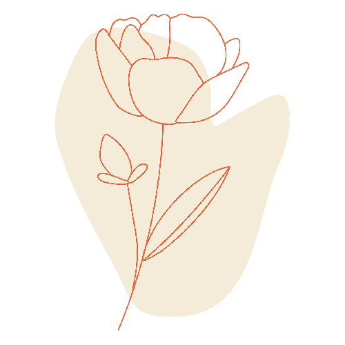 Flower line art transparent png - 2044520