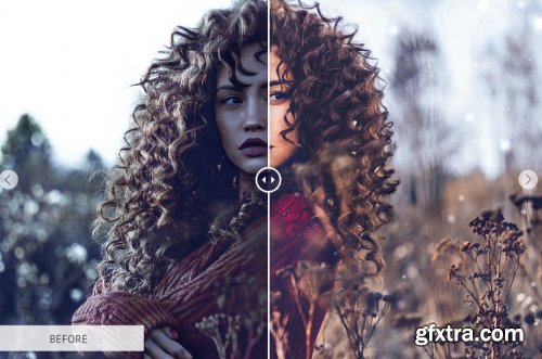 CreativeMarket - Let it Snow Lightroom Presets 3416139