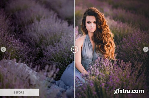 CreativeMarket - Lightroom Presets-Entire Collection 3516459