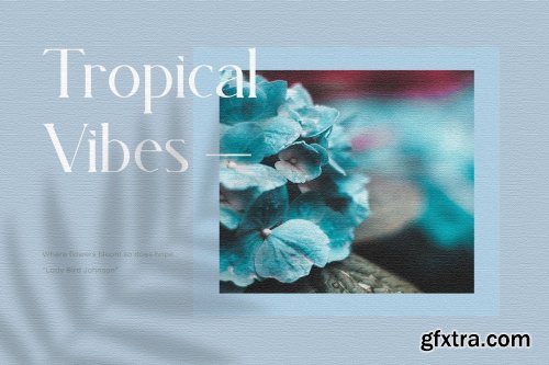 CreativeMarket - Magnita - Serif Font 4532260