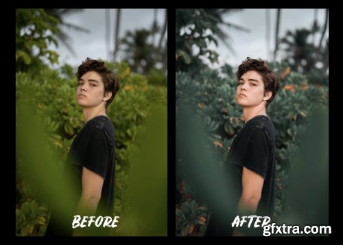 Nolan Omura Desktop Lightroom Presets 